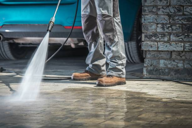 Best Gutter Cleaning  in Dunlap, TN