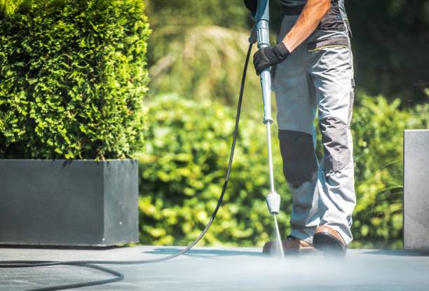 Best Roof Washing  in Dunlap, TN